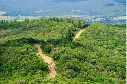 Unrecognisable mountain bikers ride