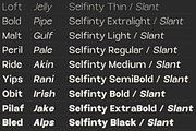 Selfinty Sans - 90 fonts + variable., a Sans Serif Font by Madjack.font (Thumbnail 2 of 15)