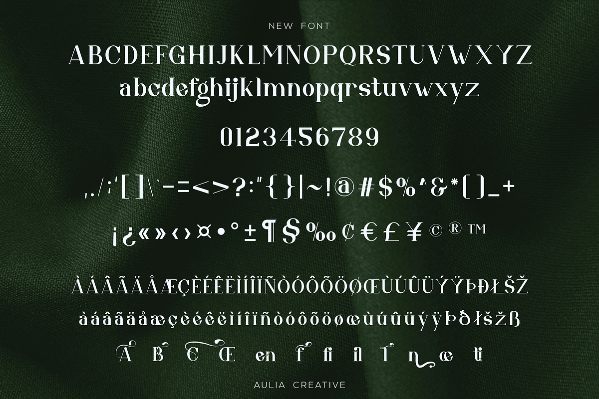 Atien, a Serif Font by Auliacreative (Photo 3 of 9)