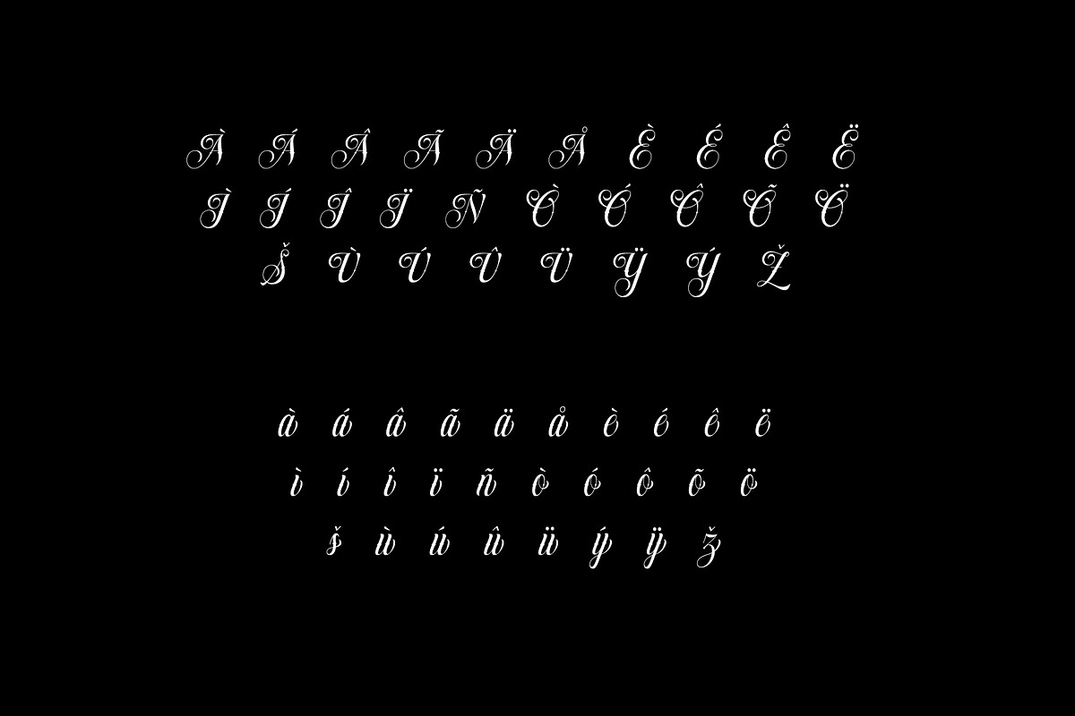 Dollarios - Calligraphy, a Script Font by INKSUN™ (Photo 8 of 8)