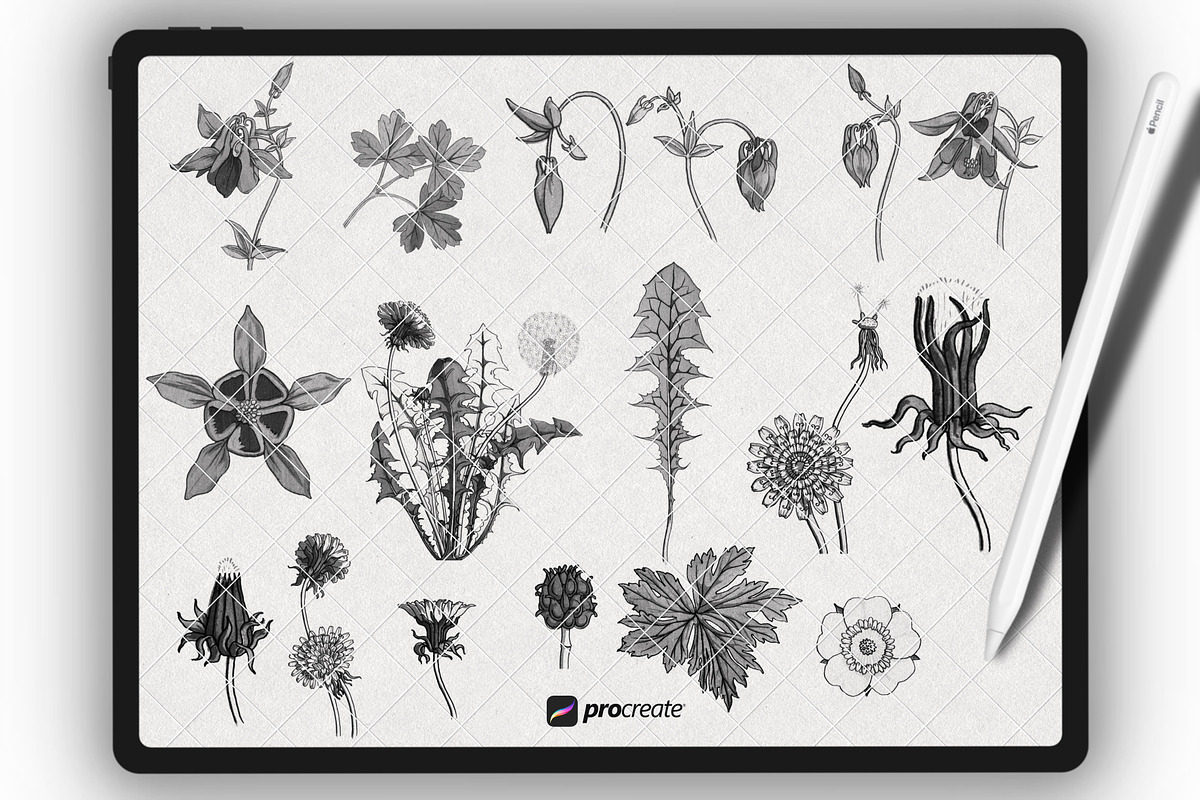 Procreate Floral Brushset Botanice, a Brush Add-On by Procreate Market (Photo 4 of 7)