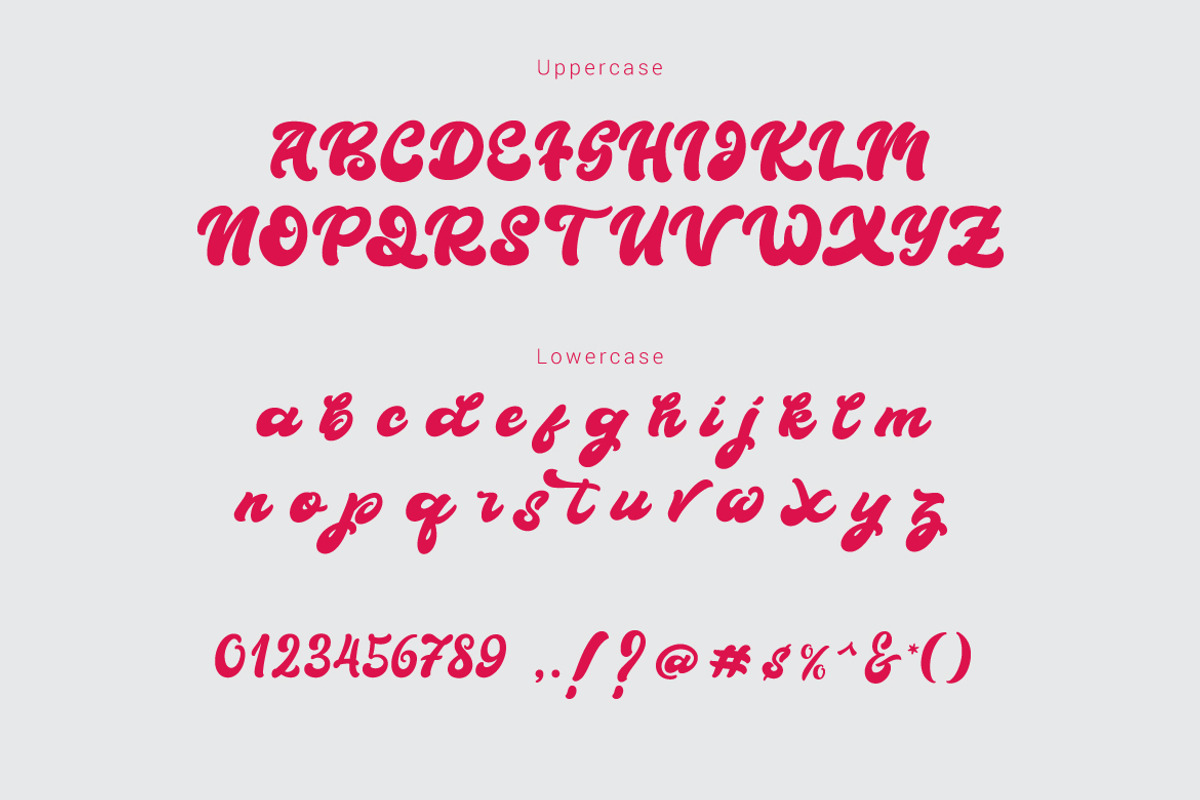 Boldie Script Typeface preview 8