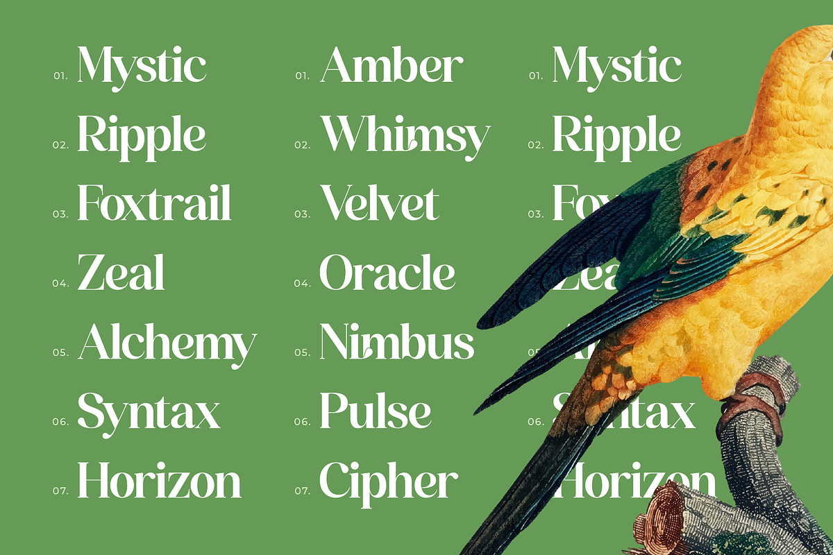 Grand Highland Modern Serif Font, a Serif Font by timelesstype.co (Photo 5 of 15)