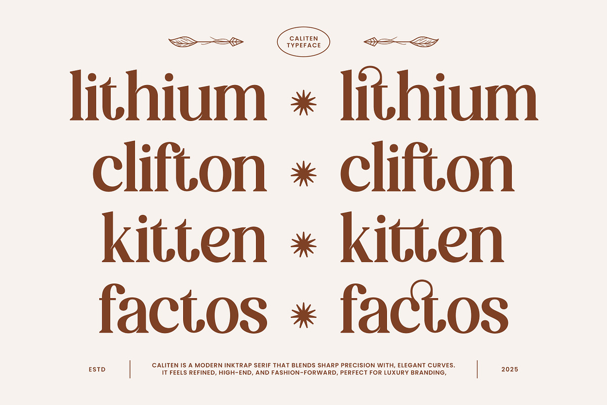 Caliten – Modern Inktrap Serif, a Serif Font by Mahesans Co (Photo 4 of 10)