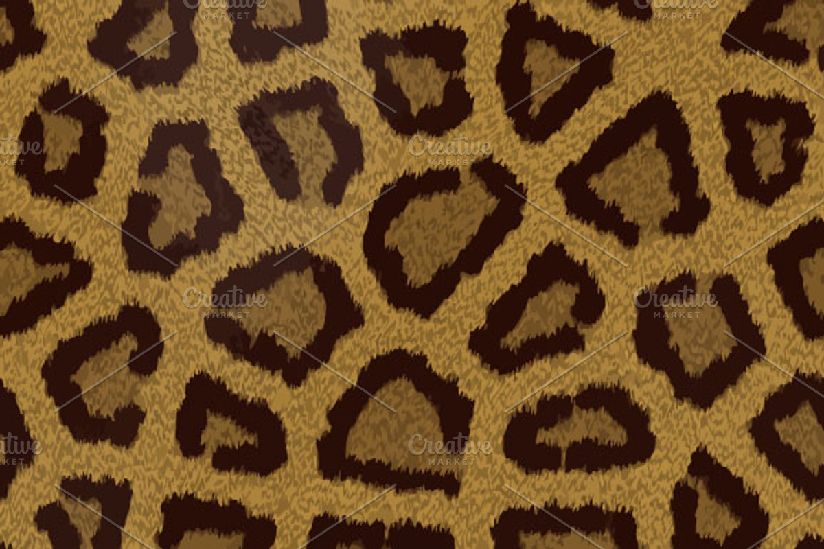 Vector animal fur textures, a Background Graphic by dotstudio