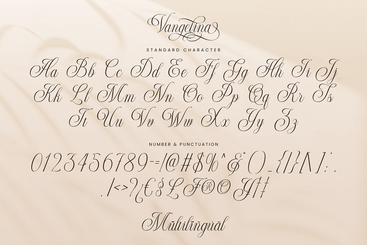 Vangelina – Modern Cursive Script, a Script Font by Pixesia Studio (Photo 15 of 15)