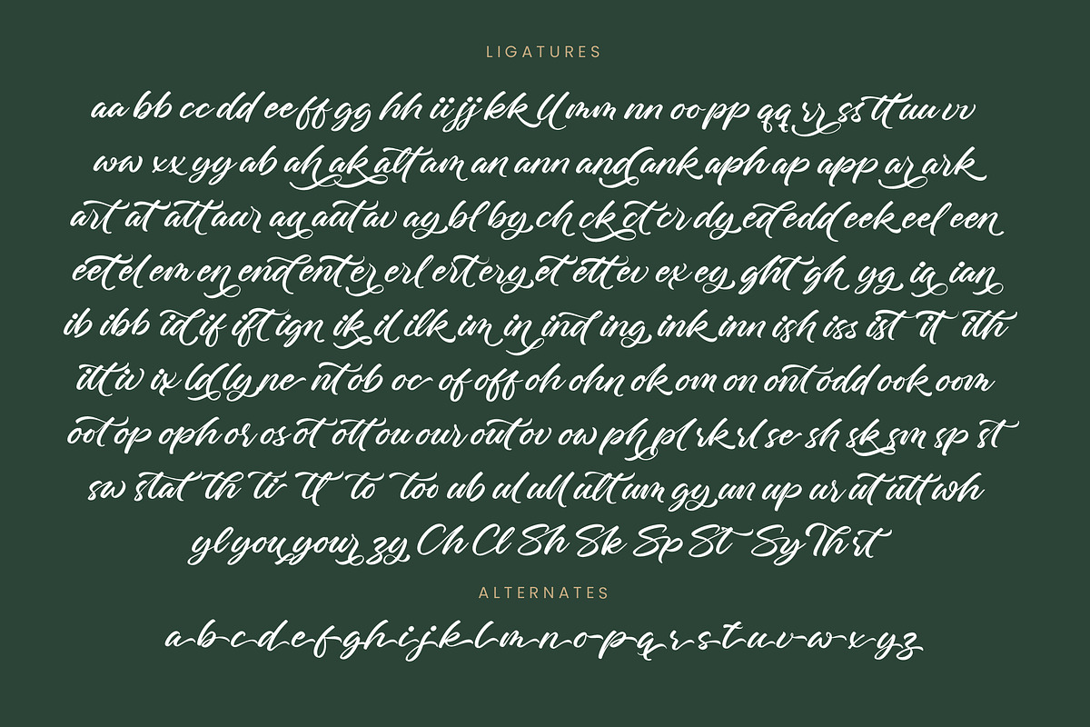 Charity Thomas Bold Calligraphy, a Script Font by stylishtype.co (Photo 19 of 20)