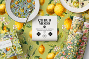 Citrus mood-summer seamless patterns, a Pattern Graphic by Pamyatka Shop (Thumbnail 1 of 13)