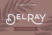 DelRay - Sans Serif Ligature Typefac, a Serif Font by Surplus Type Co (Thumbnail 1 of 13)