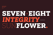 Corporative Slab - Family 50% off, a Slab Serif Font by Latinotype (Thumbnail 9 of 15)