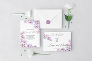 Cherry Blossom Watercolor, a Decorative Illustration by Olga Koelsch (Thumbnail 2 of 9)