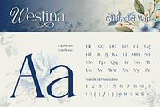 Westina, a Serif Font by Burntilldead (Thumbnail 2 of 12)