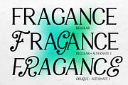 VT Salemore Longest Font Combination, a Serif Font by ViactionType (Thumbnail 8 of 13)