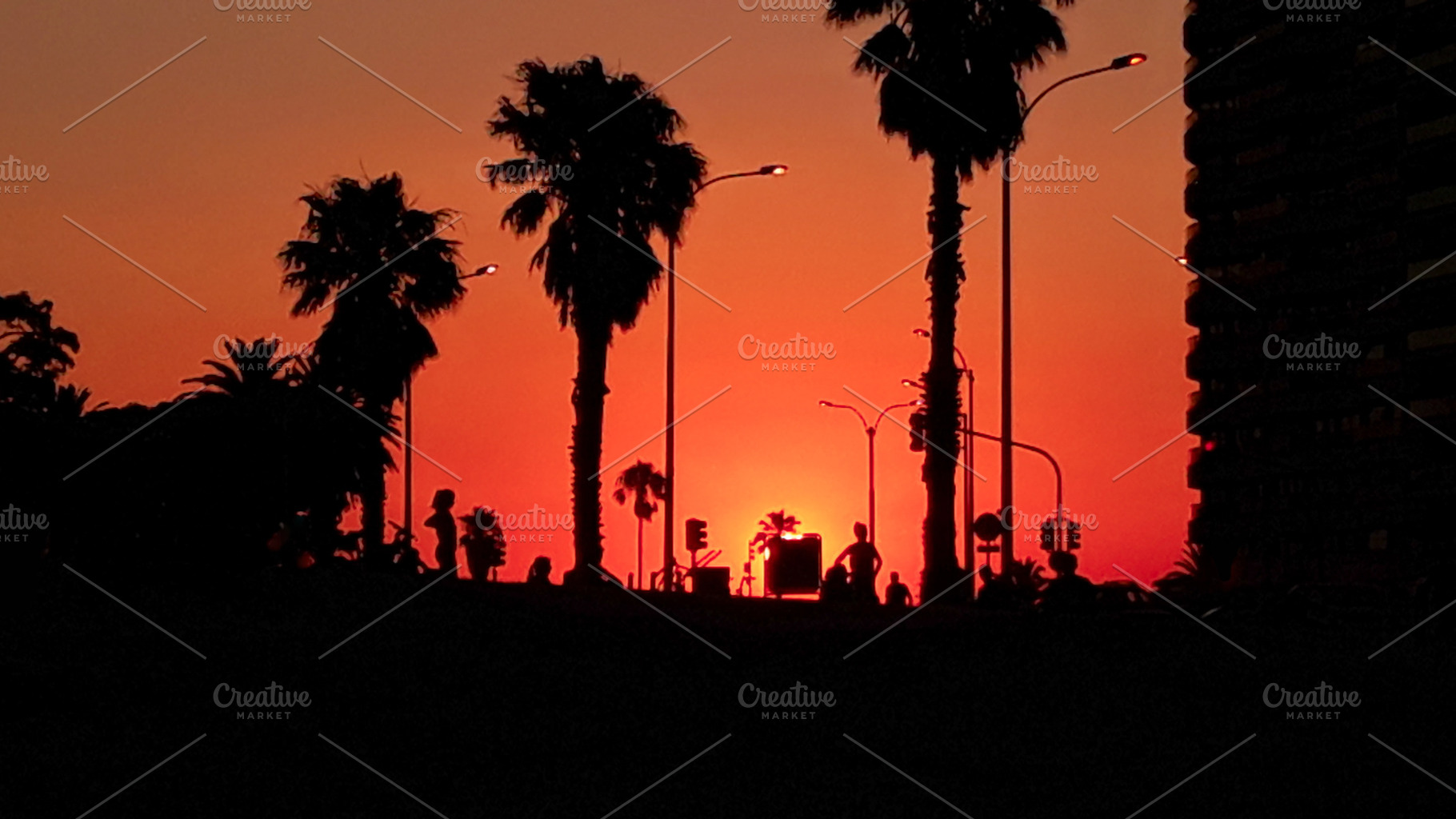 Silhouetted palm trees and people at sunset on the coast, a Nature Photo by DanFLCreativo