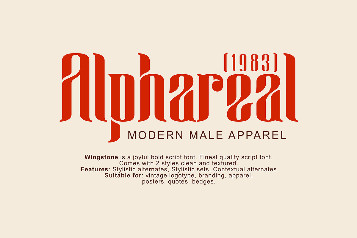 Wingstone, a Sans Serif Font by Omotu Studio (Photo 2 of 12)