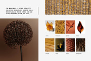 Warm Earth | 290 Earth Tone Photos, a Nature Photo by Tale.Haus (Thumbnail 6 of 18)