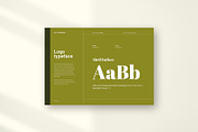 SENZA Brand Guidelines, a Brochure Template by Imagination Area (Thumbnail 8 of 14)