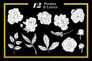Claire & Luna - Handdrawn Peonies, an Illustration by clairedelune (Thumbnail 2 of 7)