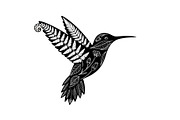 Decorative Floral Hummingbird Bundle, an Illustration by jahid234 (Thumbnail 15 of 31)