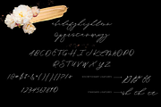 Lady Luminous, a Script Font by Luminous Lines Creative (Thumbnail 3 of 5)