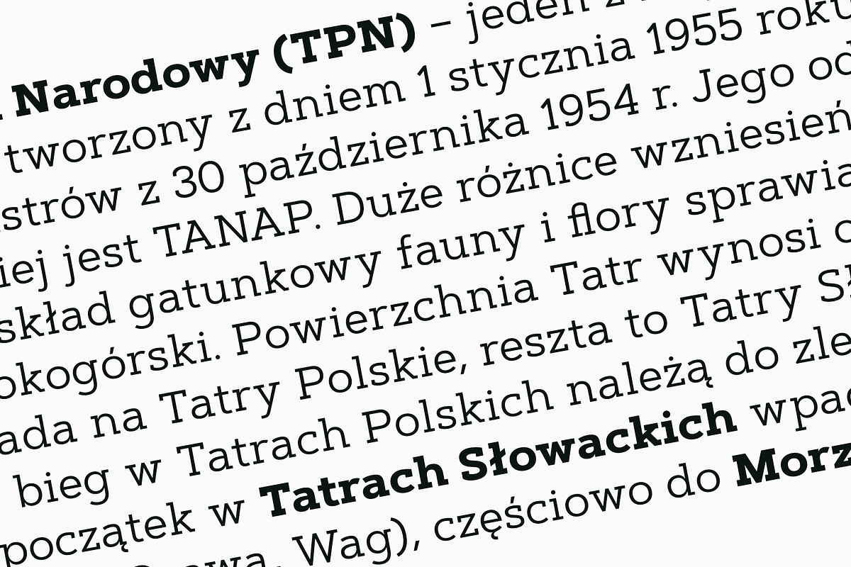 Artegra Slab, a Slab Serif Font by Artegra (Photo 14 of 15)