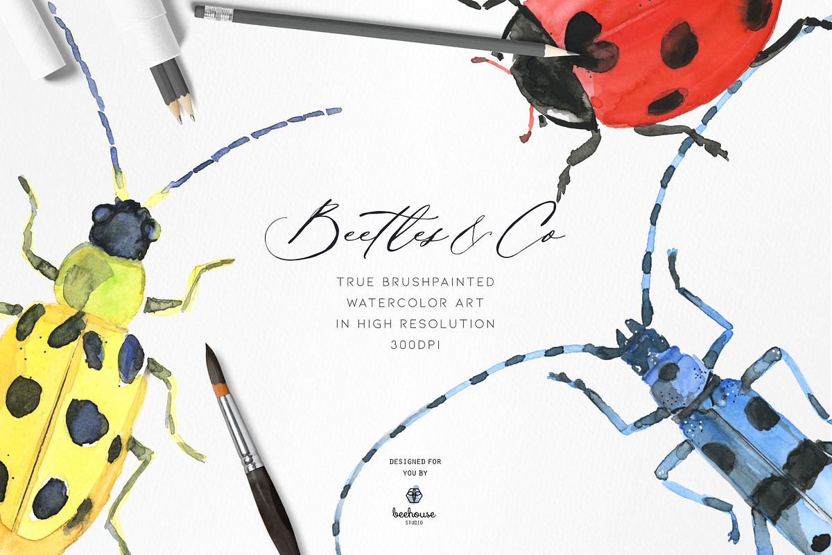 Watercolor Beetles&Co, an Animal Illustration by beehouse studio (Photo 3 of 6)