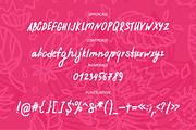 Felicitous handwritten font, a Script Font by Wewhitelist (Thumbnail 4 of 7)