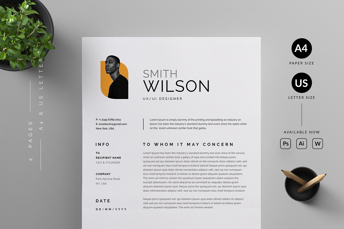 Resume/CV preview 3