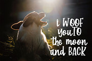 Corgi Puppy - Handwritten Font, a Font by Dm Studio (Thumbnail 5 of 6)