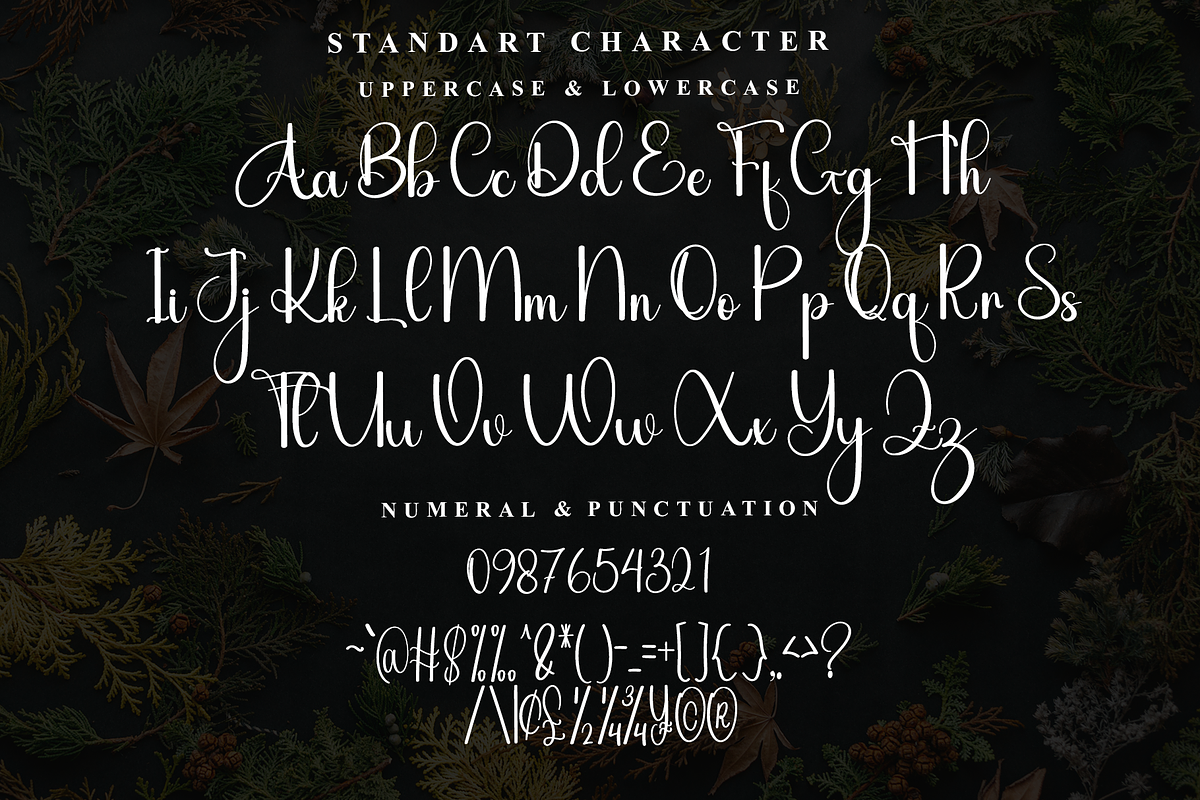 Dancing Vintage, a Handwritten Font by InermediaSTUDIO (Photo 4 of 7)