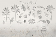 Line Beach Vibes – Summer Clipart, a Decorative Illustration by La Petite Line Art (Thumbnail 8 of 13)