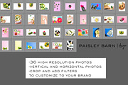 Tacos and Tequila Bundle | Set 1, a Background Graphic by Paisley Barn Design (Thumbnail 3 of 3)