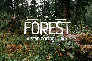 10 x Forest Film Photo Pack