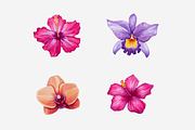Vector Watercolor Tropical set, a Decorative Illustration by Bigio Designs (Thumbnail 4 of 4)