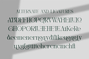 Eiden || Modern Serif Font, a Serif Font by Idea Studio (Thumbnail 11 of 11)