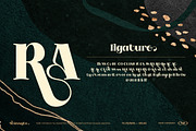 Stussyte Font Duo, a Serif Font by Tegh co. (Thumbnail 8 of 15)