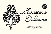 Avandgarde Modern Script, a Font by Swandtype (Thumbnail 4 of 10)