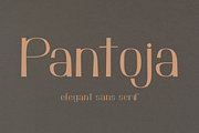 Pantoja sans serif, a Sans Serif Font by Quothron (Thumbnail 1 of 8)