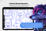 215 Furry Male Head Procreate Stamps, a Brush Add-On by Selentaori Studio (Thumbnail 5 of 13)
