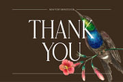 Brastoville - Modern Serif Font, a Serif Font by Rishsketch (Thumbnail 15 of 15)