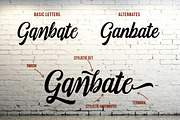 Fonjava, a Script Font by Locomotype (Thumbnail 3 of 7)