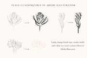 Line Art Floral Graphic Elements, a Decorative Illustration by CL Creative Studio (Thumbnail 11 of 11)