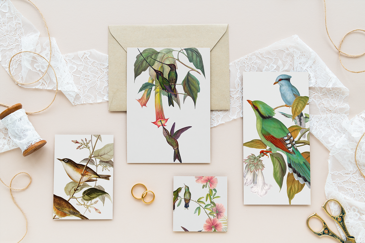 1150 Vintage Bird Illustratins, an Animal Illustration by Lilithcollageart (Photo 6 of 10)