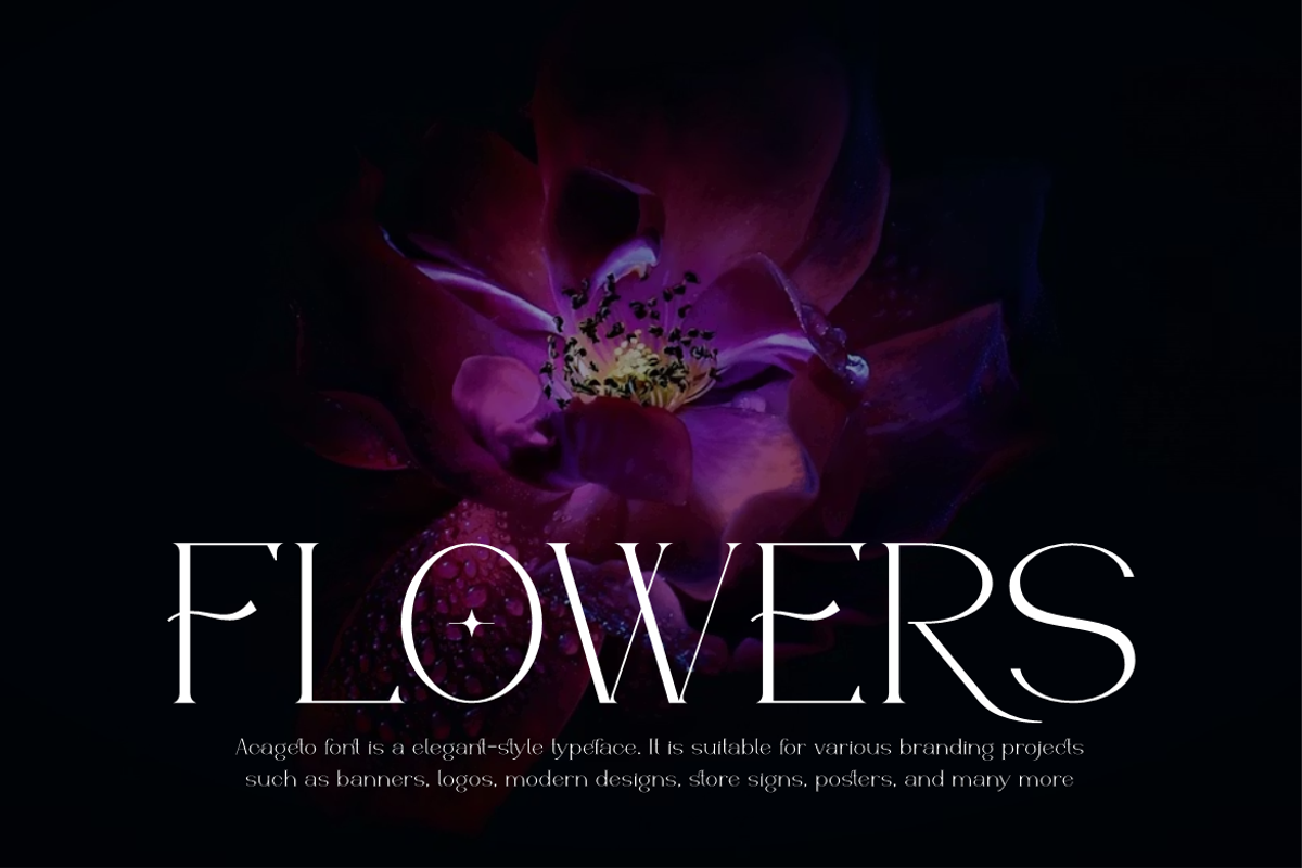Acageto - Modern Luxury Font, a Serif Font by QR Design Studio (Photo 7 of 16)