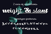 Thephir variable, a Script Font by NREY (Thumbnail 5 of 8)