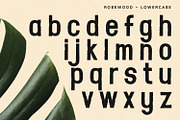Rosewood - Sans Serif Font, a Sans Serif Font by Alpaprana (Thumbnail 6 of 13)