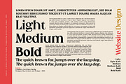 Epicus - Serif font family, a Font by Artistic & Unique (Thumbnail 13 of 14)