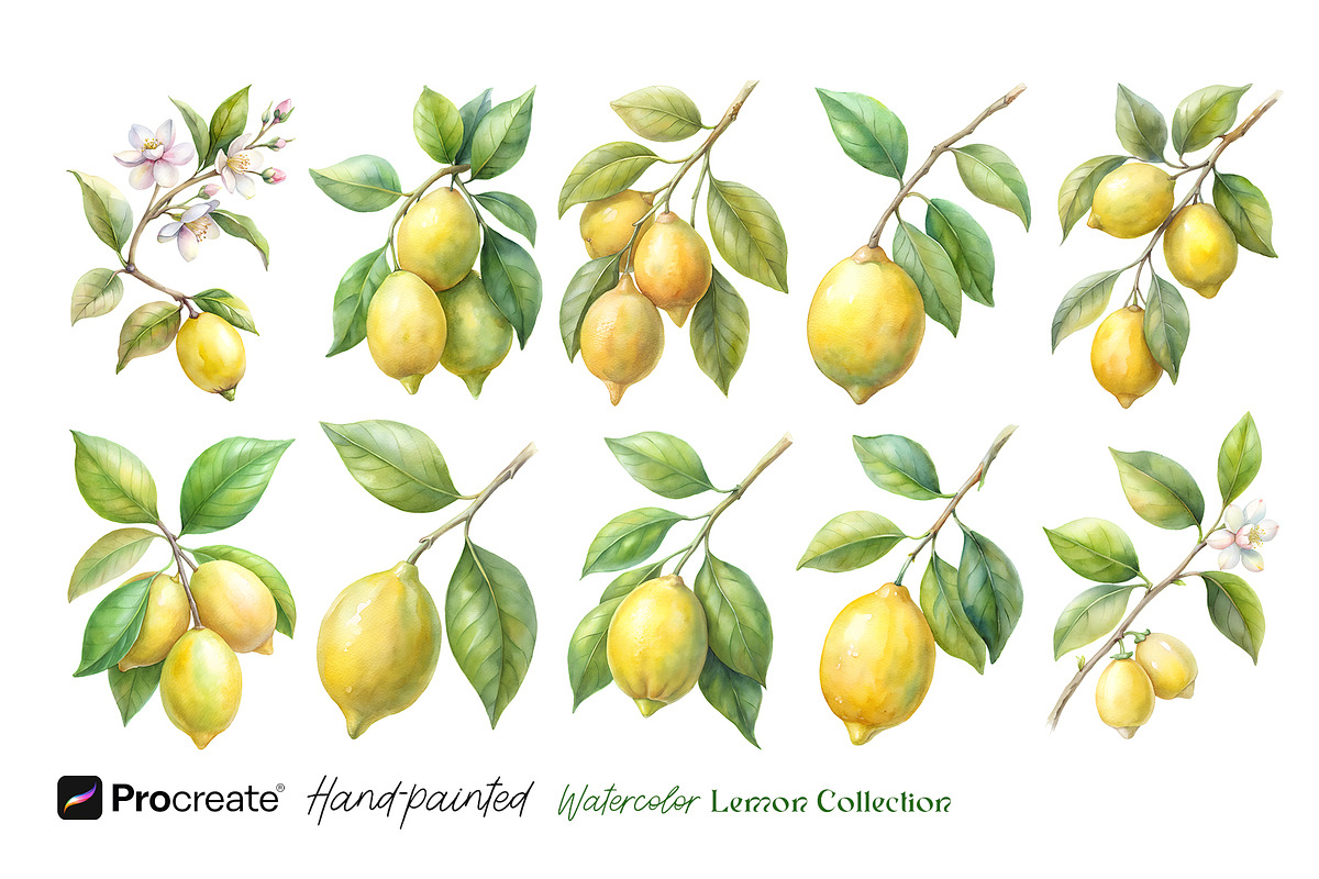 Watercolor Lemons Clipart & Pattern, an Object Graphic by crafty (Photo 2 of 15)