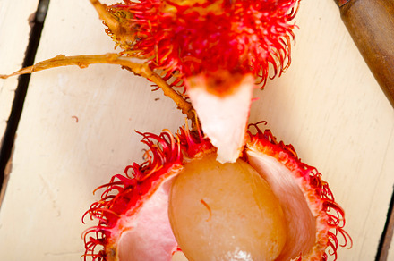 fresh rambutan fruits, a Food & Drink Photo by keko64
