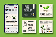 Nature Plant Social Media Post Set, a Print Template by MightyDesign (Thumbnail 2 of 8)